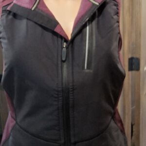 Smartwool Eastwood Down Vest in Blue and White